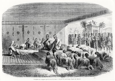 Reception of a Traveller by the King of Laos, 1861 by Henri Mouhot